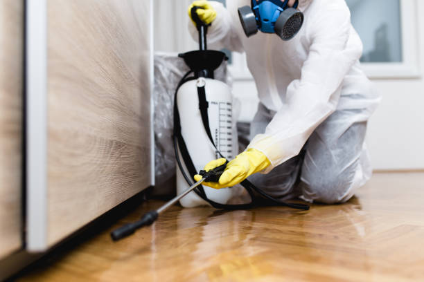 Best Pest Prevention Services  in Crystal City, MO