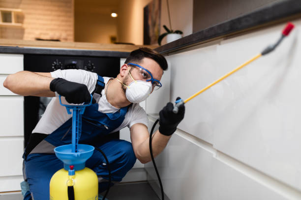Best Insect Control  in Crystal City, MO