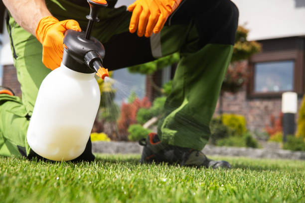 Trusted Crystal City, MO Pest Control Experts