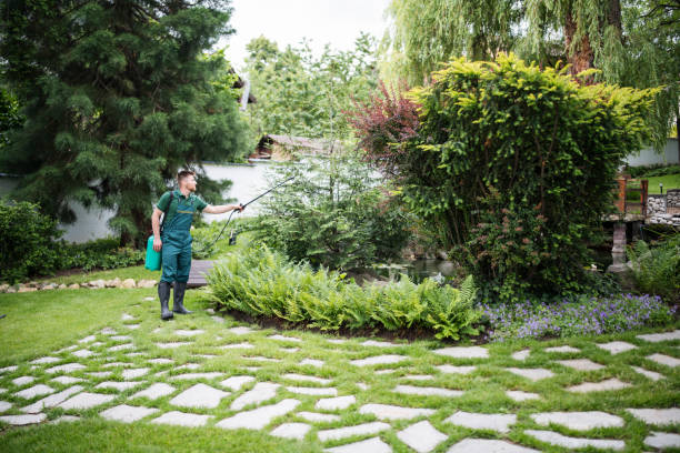 Best Best Pest Control Companies  in Crystal City, MO