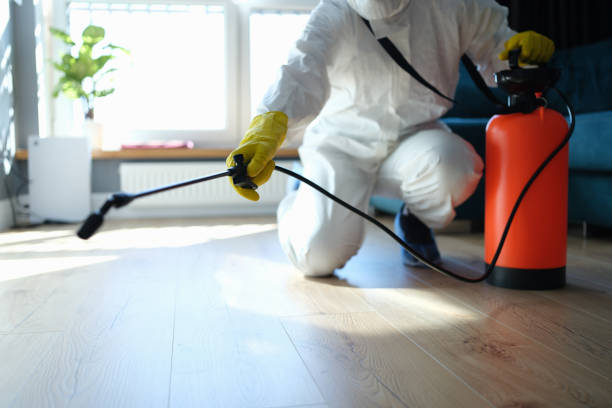 Pest Control for Restaurants in Crystal City, MO