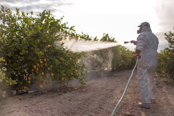 Best Pest Control Treatment  in Crystal City, MO