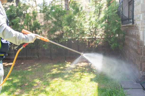 Best Affordable Pest Control Services  in Crystal City, MO