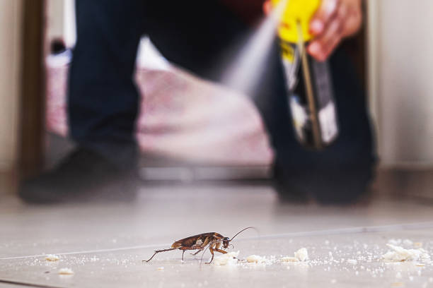 Pest Control for Restaurants in Crystal City, MO