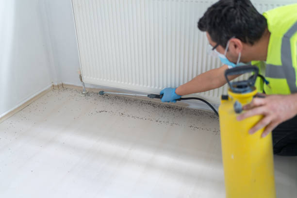 Best Emergency Pest Control  in Crystal City, MO
