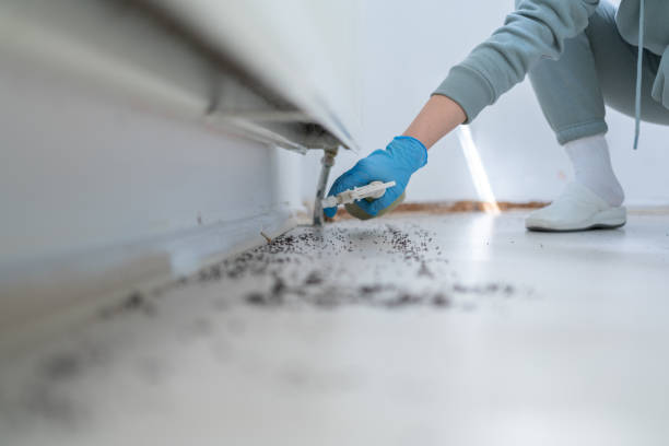 Best Pest Control Near Me  in Crystal City, MO